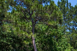 Ebrochure Crystal Lake Apartments In Pensacola Fl